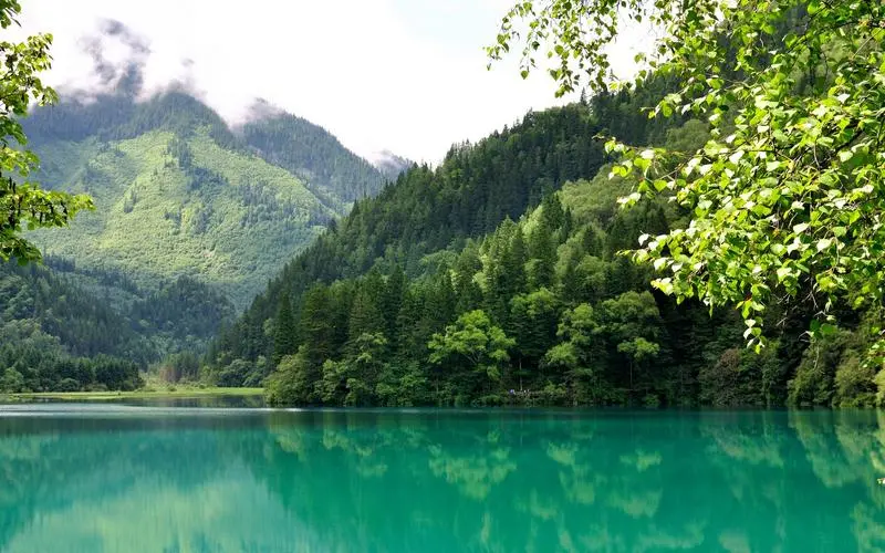 高质量工业